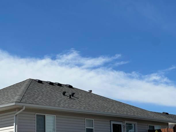 Best Commercial Roofing Services  in Puxico, MO